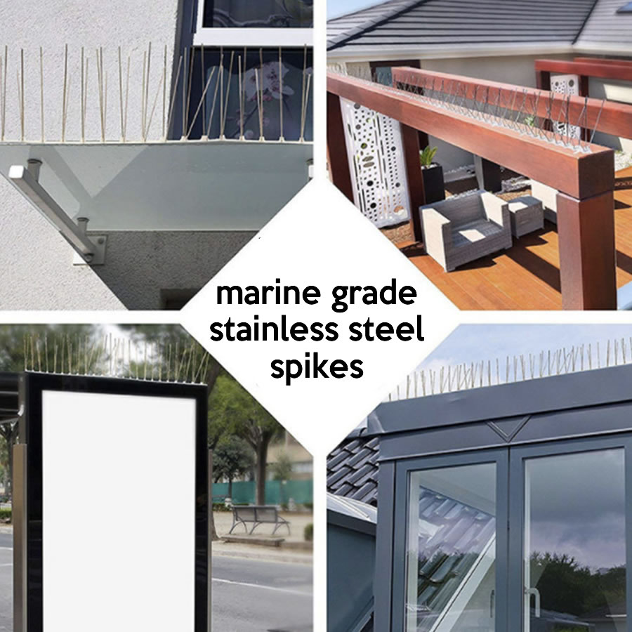 pest bird deterrent spikes buy online