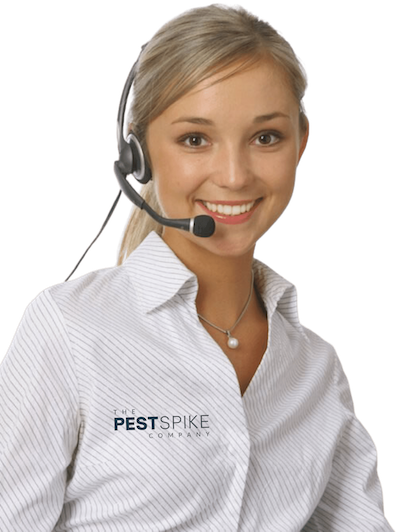 the pest spike company