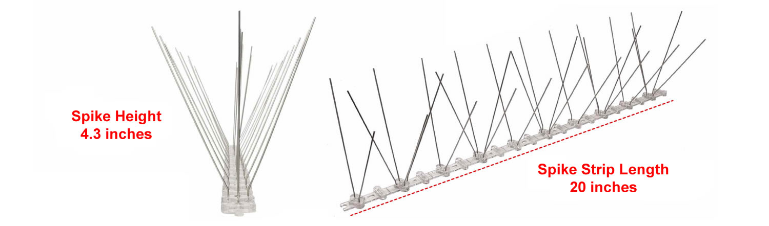 where to buy stainless steel bird spikes online usa
