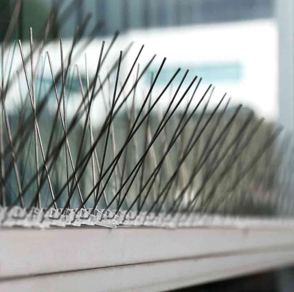 Bird Spikes | Bird Control Spikes | Bird Deterrent Spikes (per 20" strip): image 5