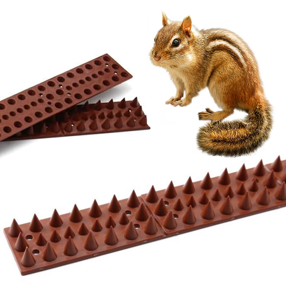 Chipmunk Spikes