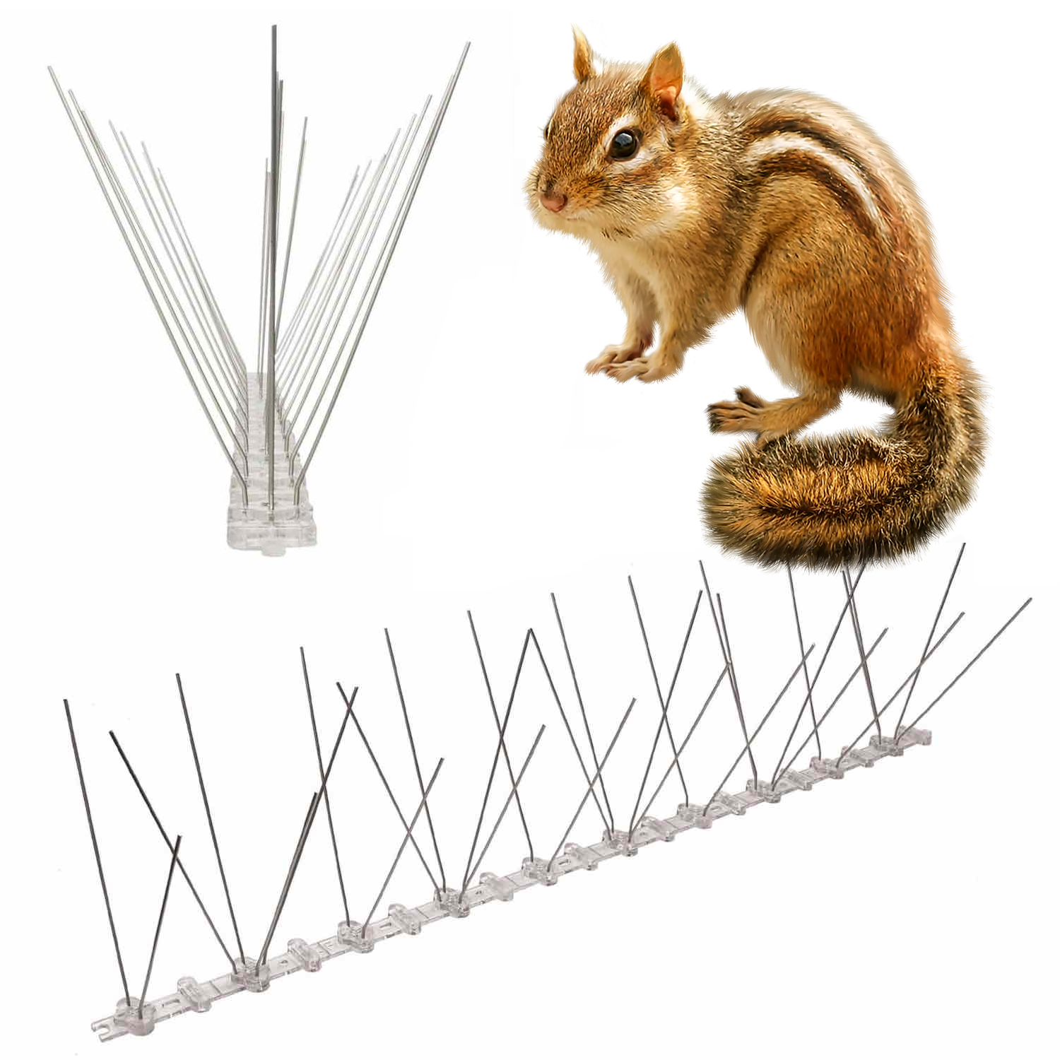 Chipmunk Spikes