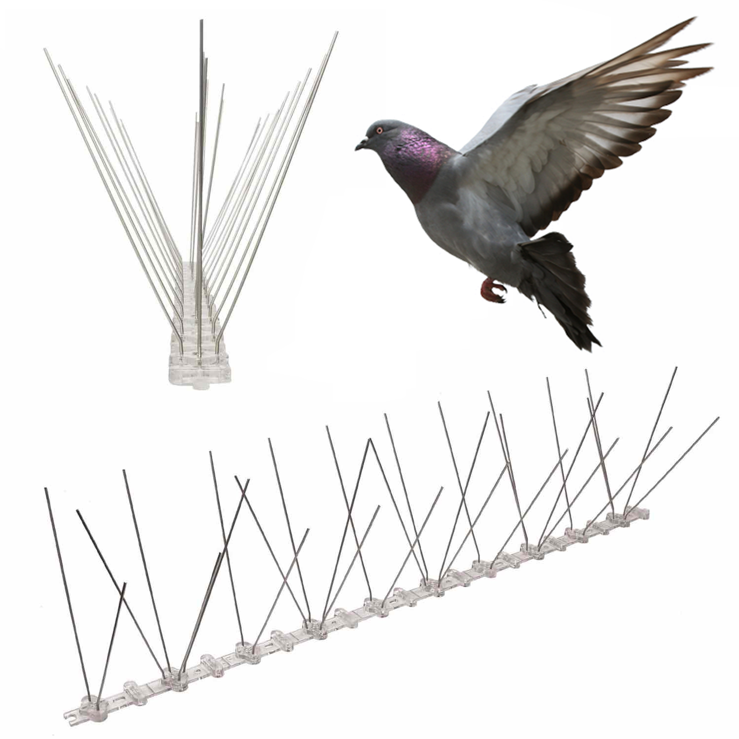 Pigeon Spikes