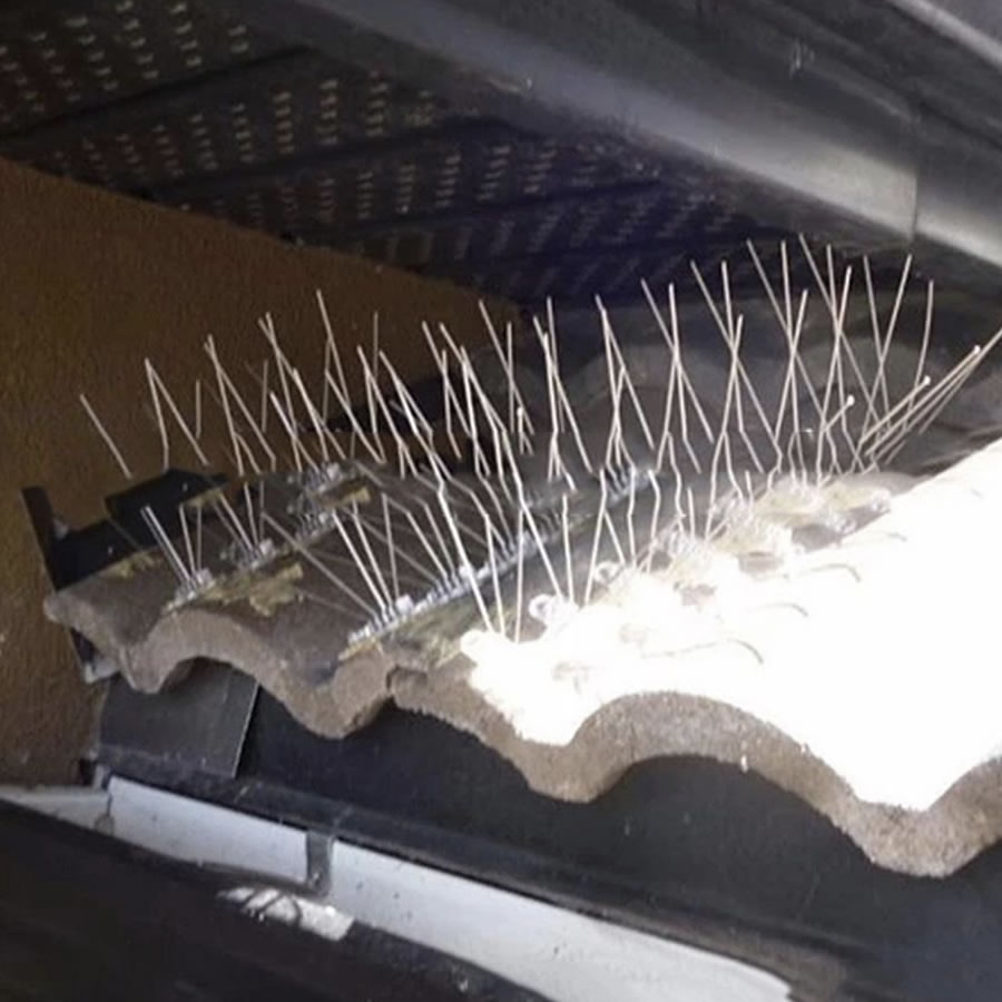 Pigeon Spikes | Pigeon Deterrent Spikes | Pigeon Repellent Spike Strips (per 20" strip): image 3