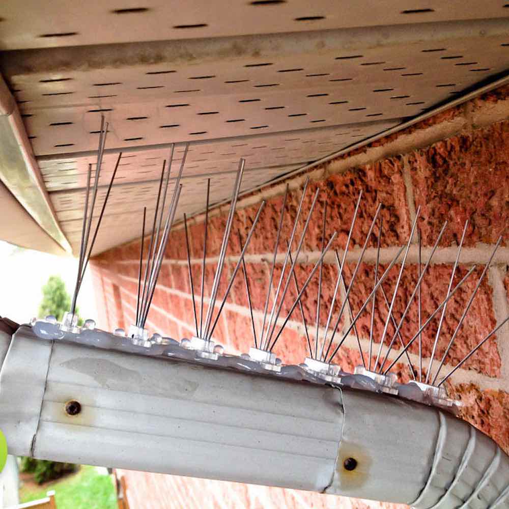 Pigeon Spikes | Pigeon Deterrent Spikes | Pigeon Repellent Spike Strips (per 20" strip): image 8