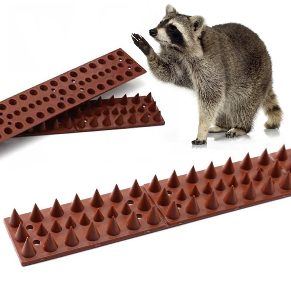 Raccoon Spikes