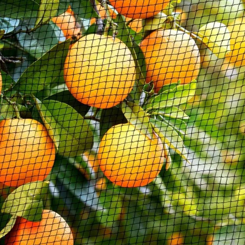 Net For Birds