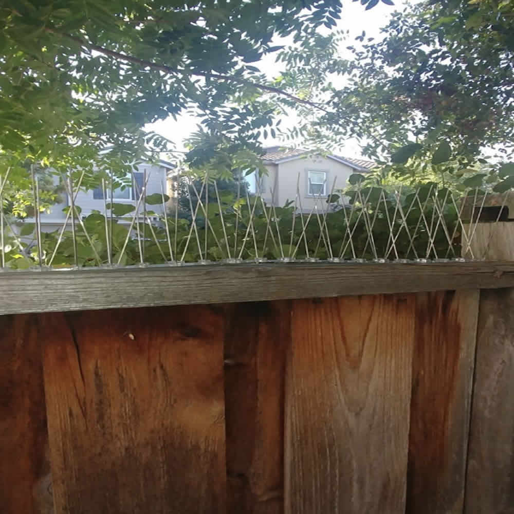 Anti-Seagull Spikes | Seagull Deterrent Spike Strips | Seagull Repellent Spikes (per 20" strip): image 6