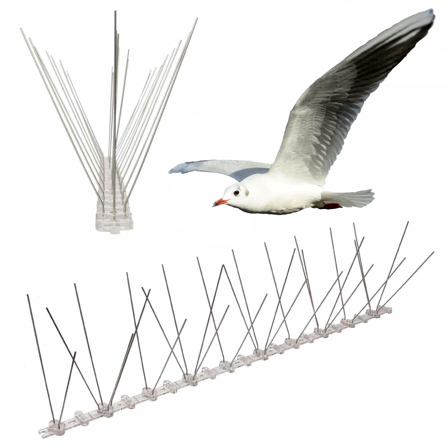 Anti-Seagull Spikes