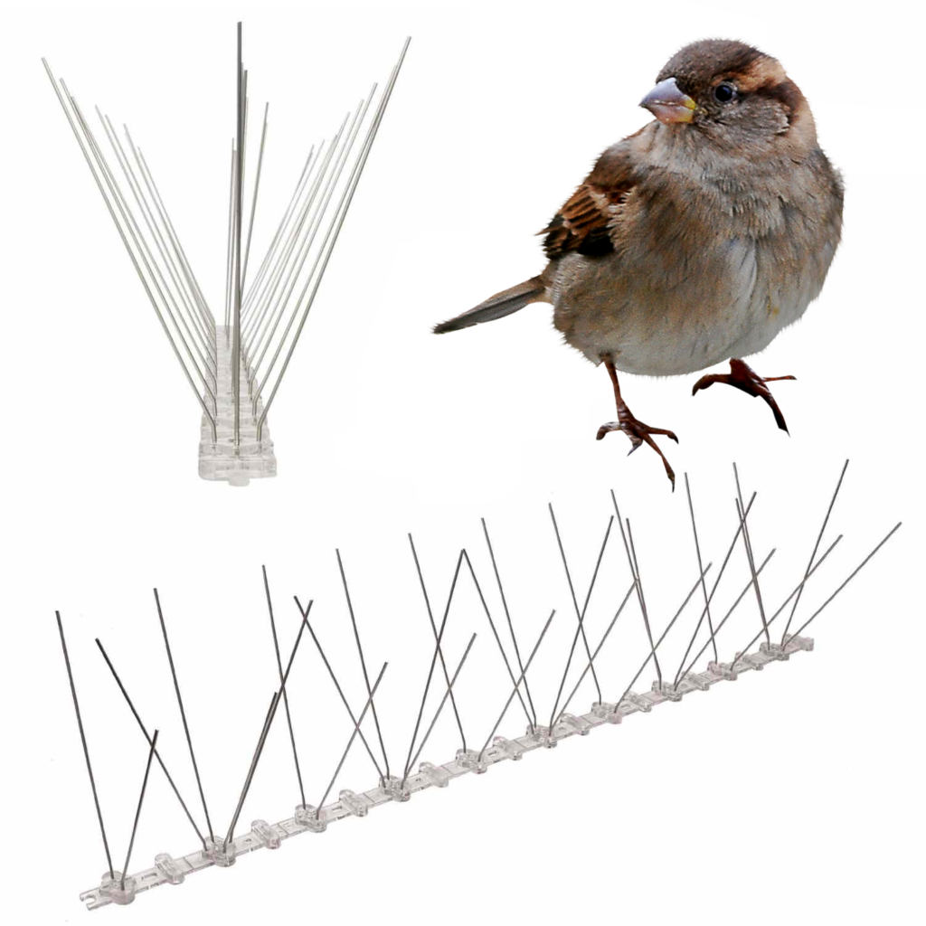 Anti-Sparrow Spikes