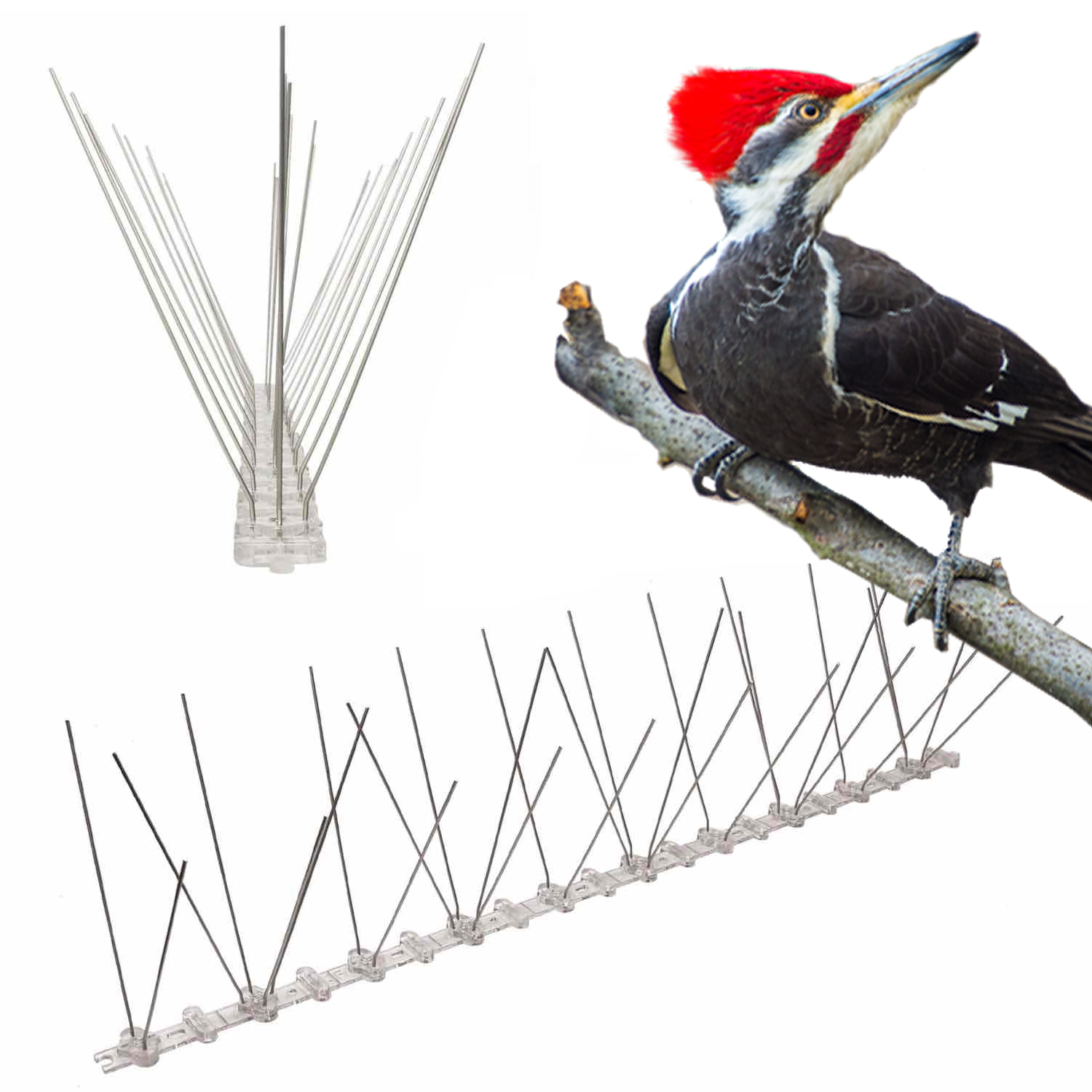 Woodpecker Spikes