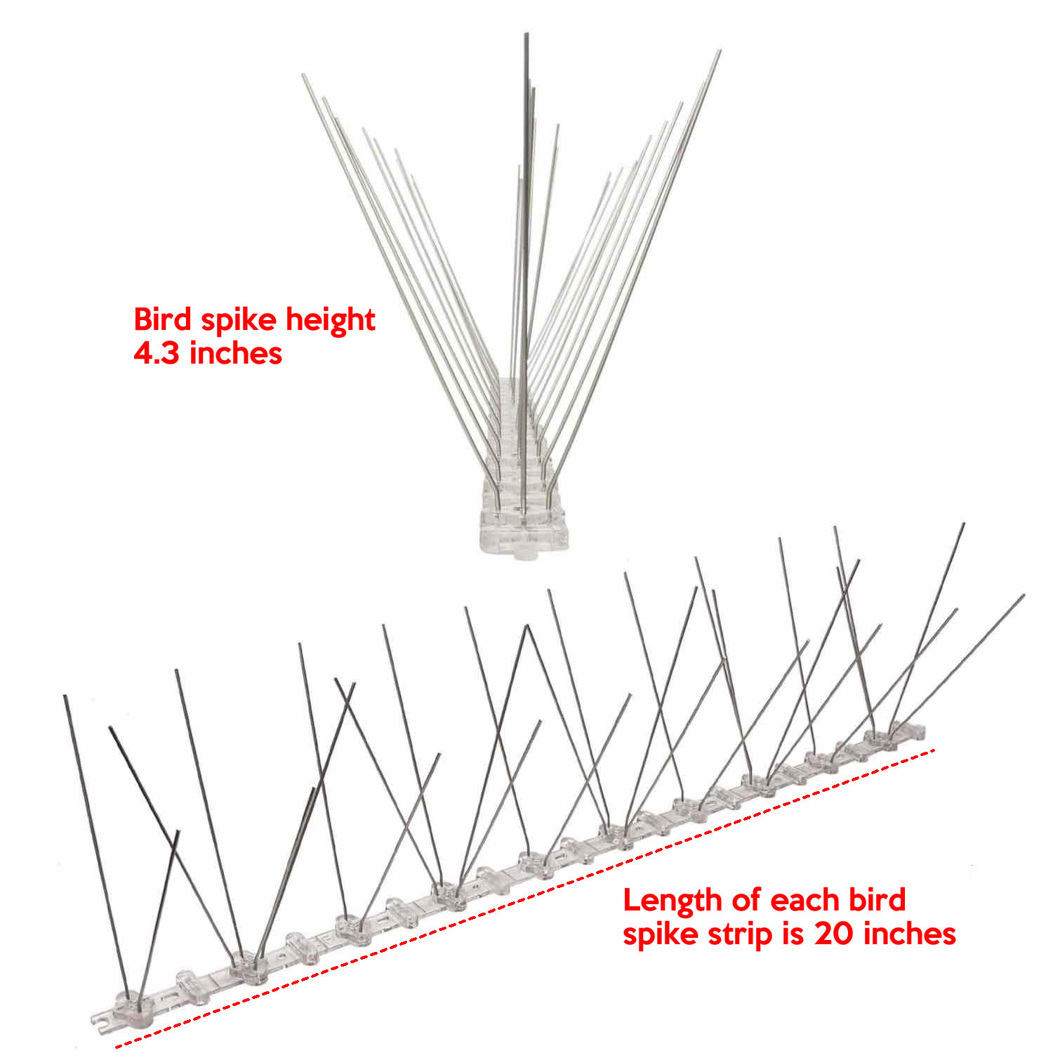 Woodpecker Spikes | Woodpecker Repellent Spikes | Woodpecker Deterrent Spike Strips (per 20" strip): image 2