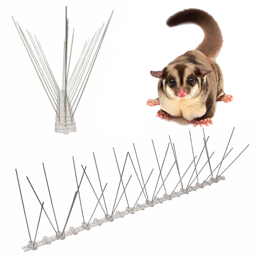 Anti-Possum Spikes