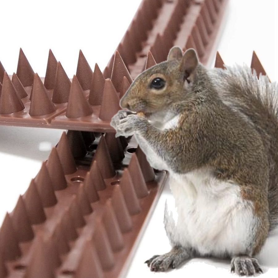 Squirrel Spikes | Squirrel Spike Strip | Squirrel Deterrent Spikes (per 20" strip): image 6