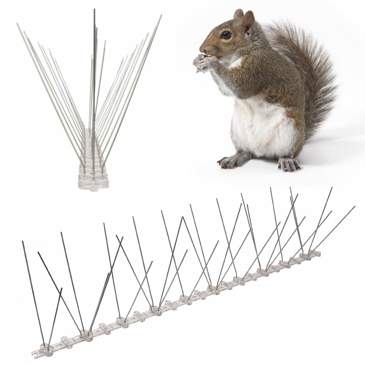 Anti-Squirrel Spikes