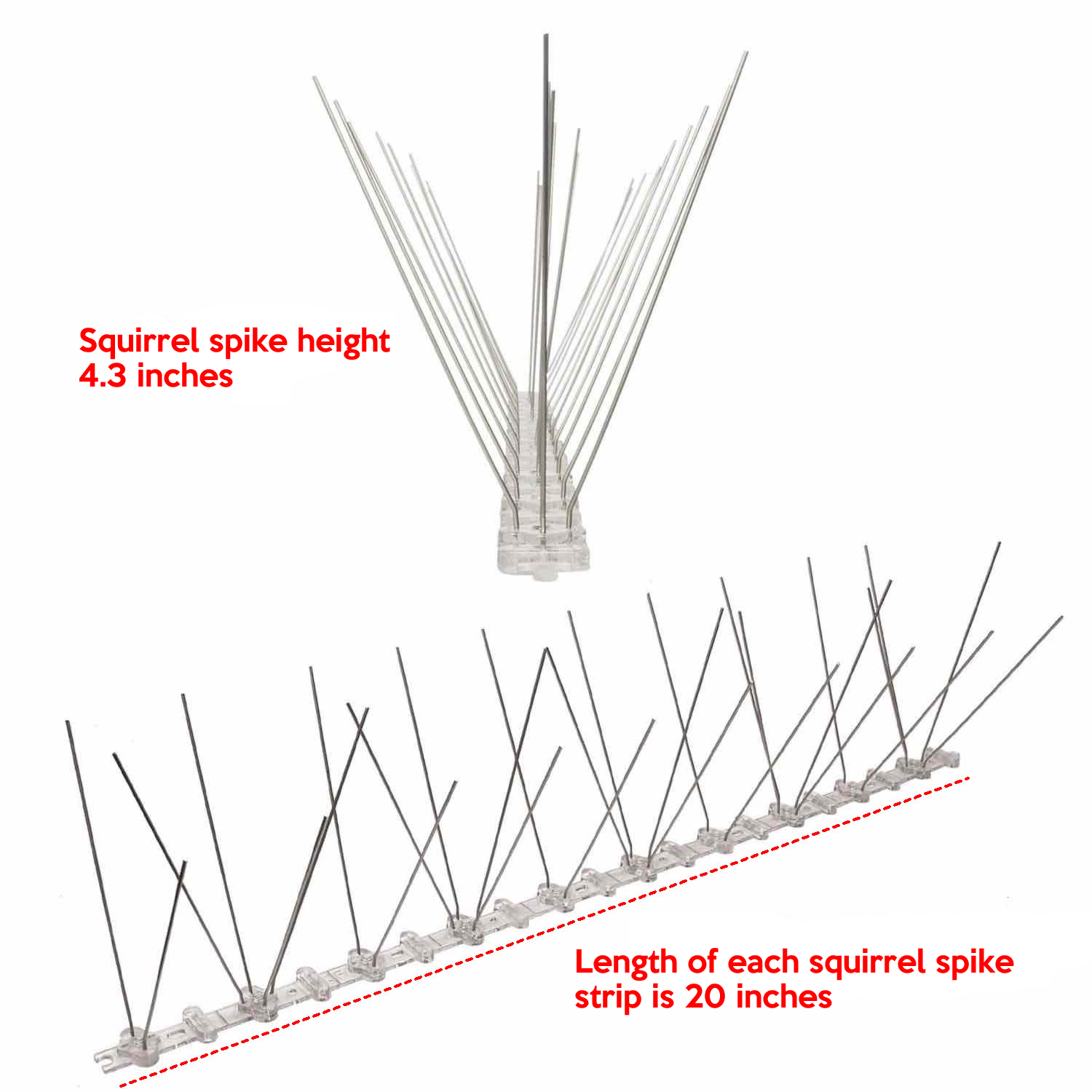 Anti-Squirrel Spikes | Squirrel Deterrent Spike Strips | Squirrel Repellent Spikes (per 20" strip): image 2