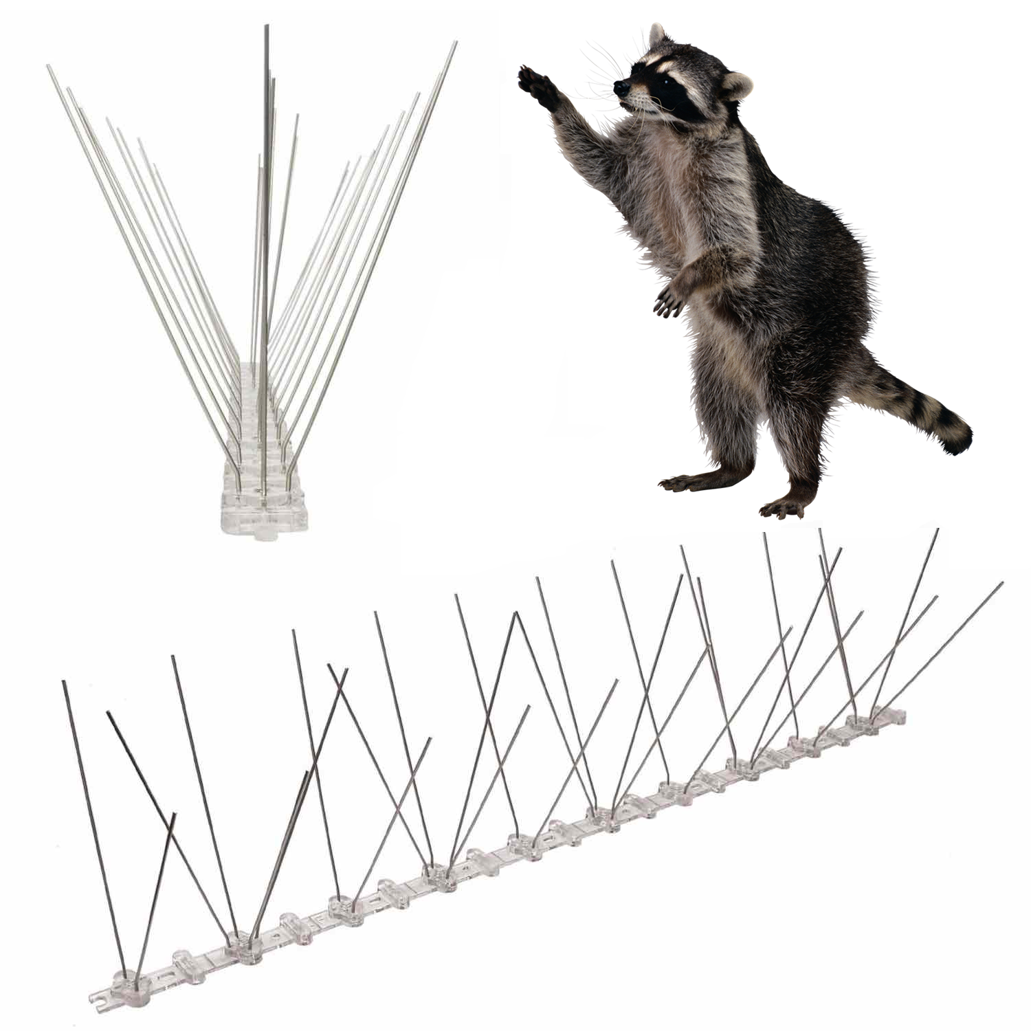 spikes for raccoons